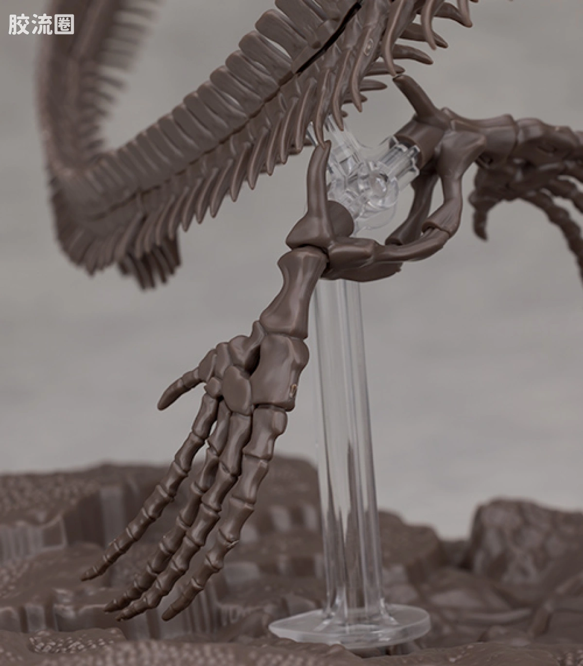 万代综合拼装模型系列 Imaginary Skeleton系列 沧龙 - 图片